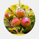 Search for apples ornaments Festive
