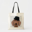 Recherche de teckels accessoires Animaux