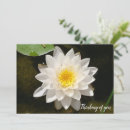 Search for white lotus invitations Pink