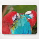 Search for macaws mousepads Animal
