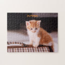 Recherche de chatte puzzles Pour enfants