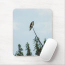 Search for ospreys mousepads Sky