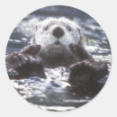 Recherche de sea otter autocollants Animaux