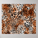 Search for leopard backdrops Background