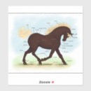 Search for horse hoof art Anatomy