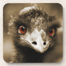 Recherche de autruche dessous de verres Mignon