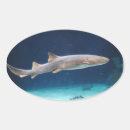 Search for saltwater stickers Aquatic