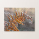 Recherche de givre puzzles Glace