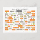 Recherche de organigramme cartes postales Drôle