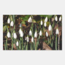 Search for snowdrop stickers Flowers