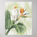Recherche de tropical feuillage posters Coloré