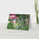Search for chamomile cards White