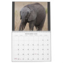 Search for big calendars Africa