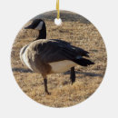 Search for goose ornaments Waterfowl