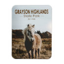 Search for jefferson rectangular magnets Souvenir