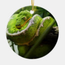 Search for snake ornaments Animals