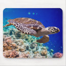 Search for blue turtle mousepads Beautiful