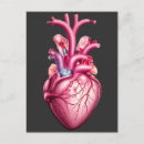 Search for anatomically postcards Heart