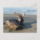 Search for costa rica postcards Ocean