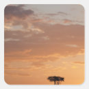 Recherche de solitude autocollants Nature
