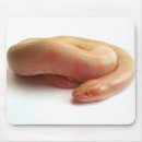 Recherche de albinos tapis souris Serpent