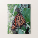 Search for monarch butterfly puzzles Garden