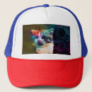 Search for funny cat hats Pet lover