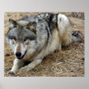 Recherche de espiègle art Animal