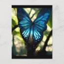 Recherche de papillon bleu de morpho cartes postales Nature