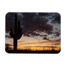 Recherche de saguaro magnets Cactus