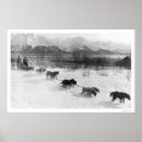 Search for husky posters Alaskan