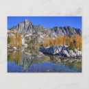 Search for larch postcards Mountain