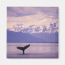 Recherche de passage magnets Coucher de soleil