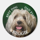 Search for from this day magnets From the dog