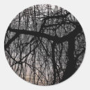 Search for weep stickers Willow