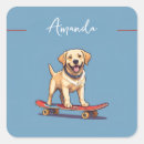 Search for skateboards stickers Birthday