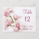 Recherche de cymbidium cartes postales Rose