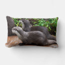 Search for cute otter pillows Wildlife
