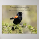 Recherche de aile rouge posters Faune