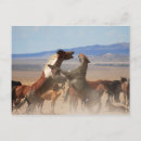 Search for wanna postcards Animal
