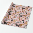 Recherche de sheltie papier cadeau Dog