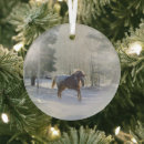 Search for appaloosa horse ornaments Snow