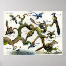 Search for velociraptor posters Dinosaur