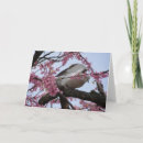 Search for doves cards Floral