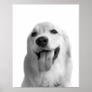 Search for black and white dog posters Cute
