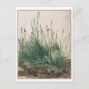 Recherche de dürer cartes postales Renaissance du nord