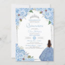 Recherche de princess cinderella Rose