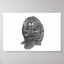 Search for beavers art Wildlife