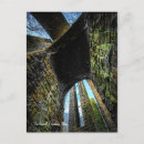 Recherche de lichen cartes postales Mousses