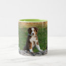 Search for australian shepherds mugs Cute